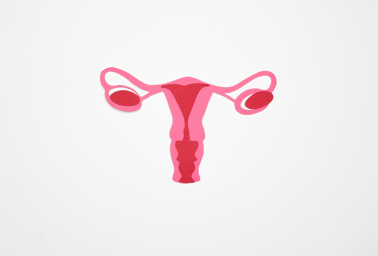 Ovulation Everything you need to know FlowCup Menstrual Cup Ovulation Everything you need to know FlowCup Menstrual Cup