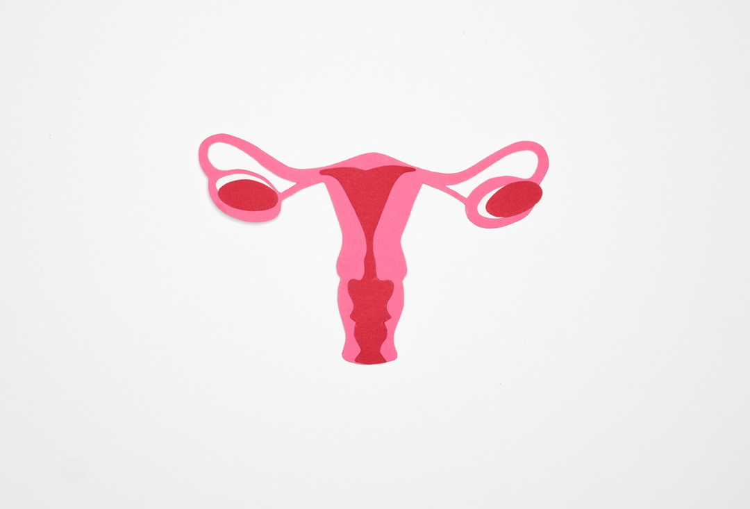 Ovulation – Everything you need to know!